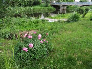 Фотографии Лоджи 9 min from Palanga! Cosy River Side Studio with sauna г. Кретинга (Литва) №5 Фото Лоджи 9 min from Palanga! Cosy River Side Studio with sauna г. Кретинга 5